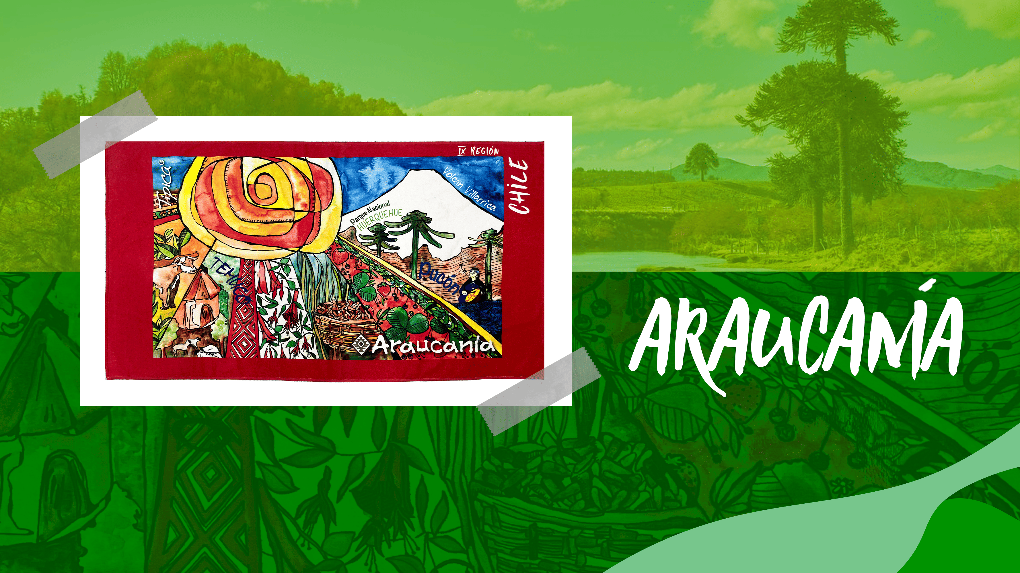 araucania